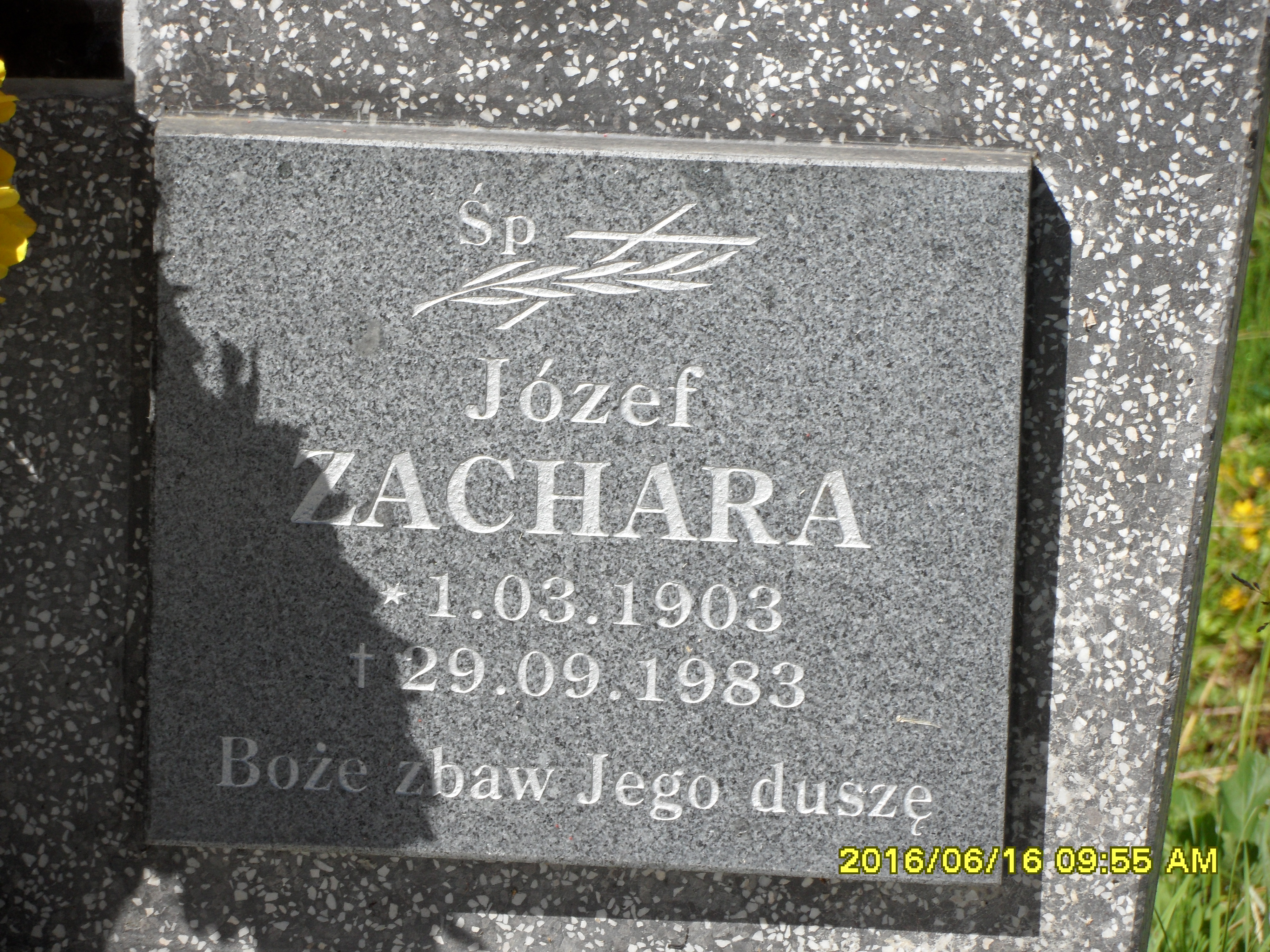 Zdjęcie grobu