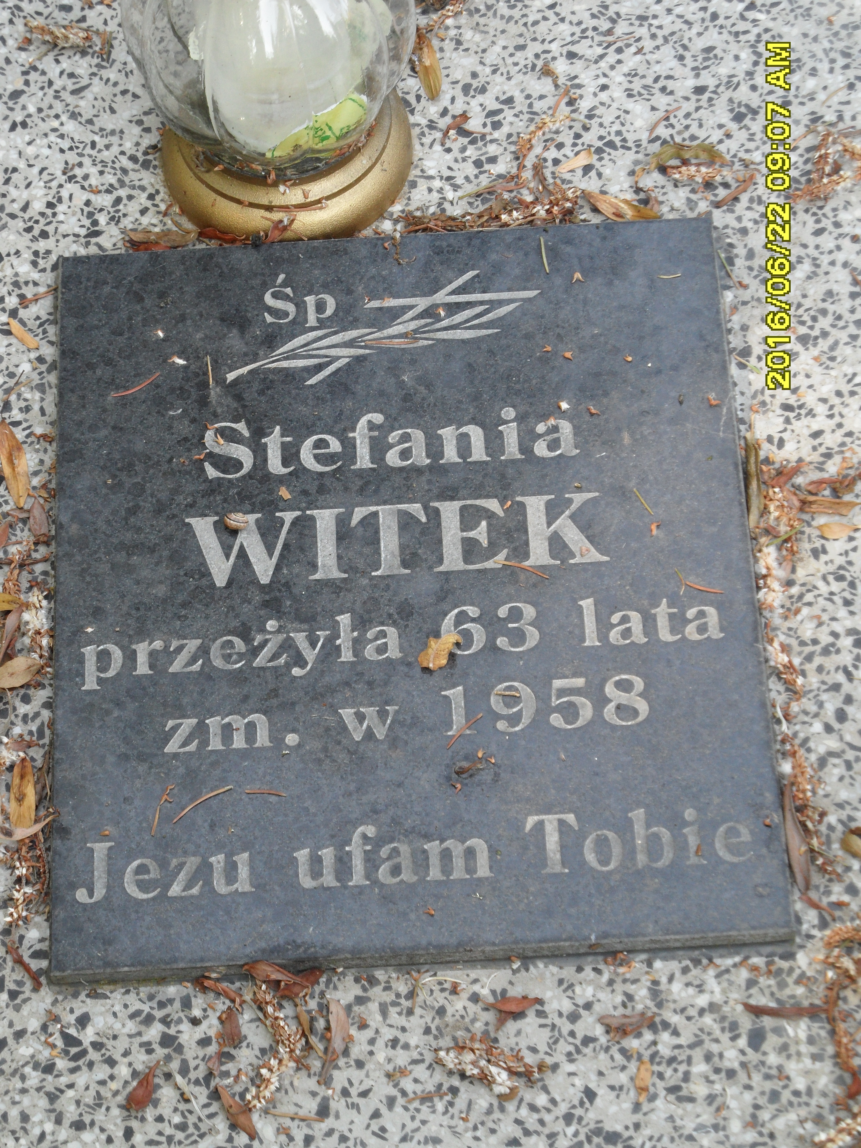 Zdjęcie grobu
