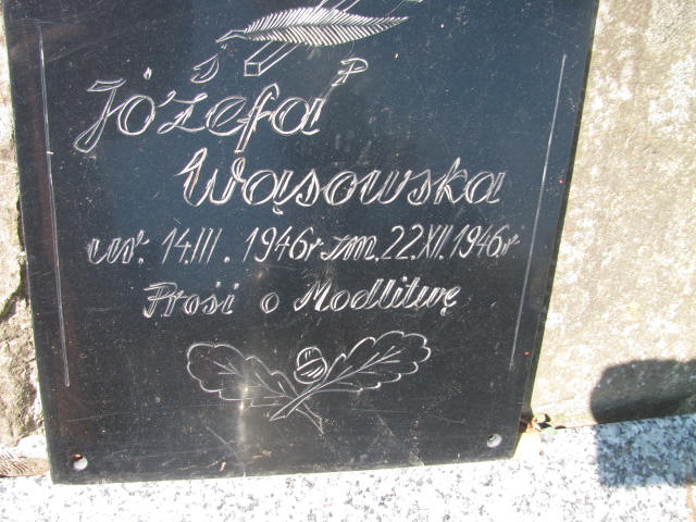 Józefa Wąsowska 1946 Ciężkowice - Grobonet - Wyszukiwarka osób pochowanych