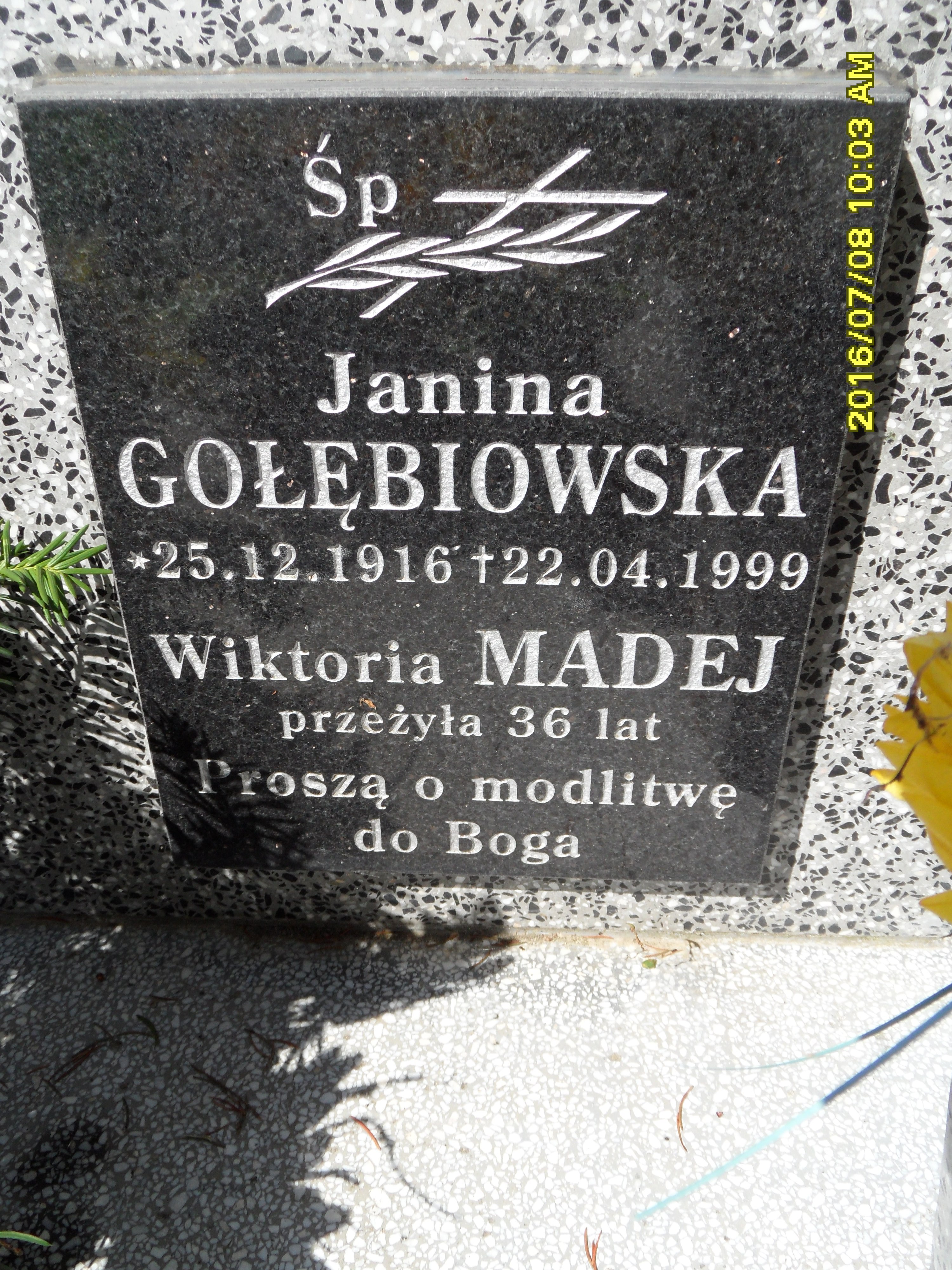 Zdjęcie grobu